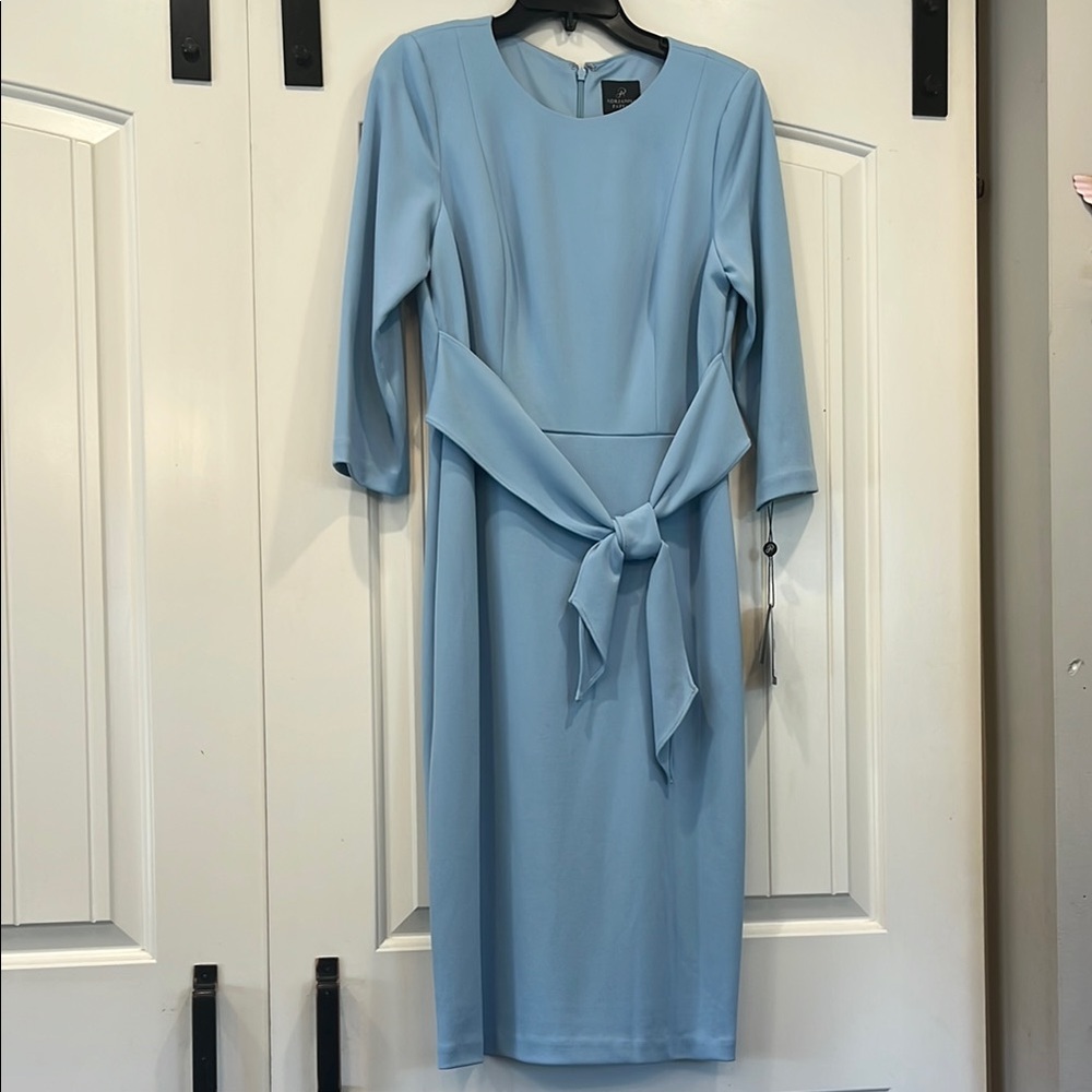 Elegant Blue Dress